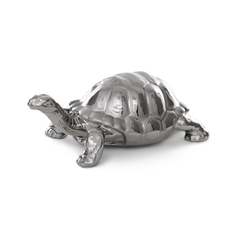 Tortoise